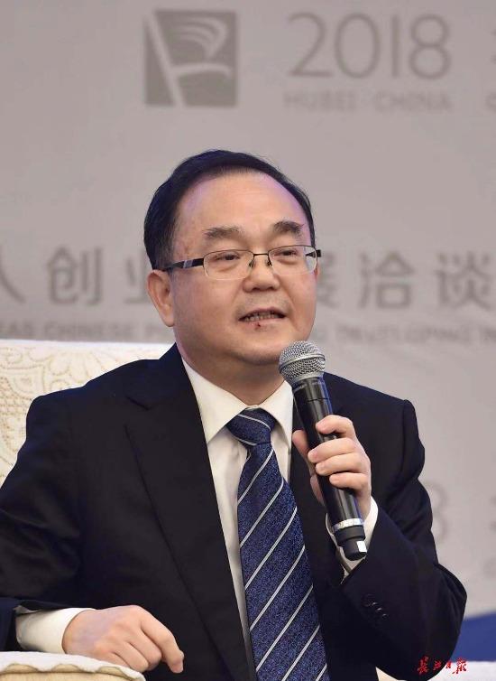 武漢新特光電董事長陳義紅：海歸創(chuàng)業(yè)要用好政策這個(gè)有力杠桿