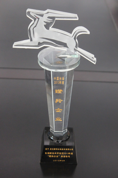 我司再次入選東湖開(kāi)發(fā)區(qū)“瞪羚企業(yè)”